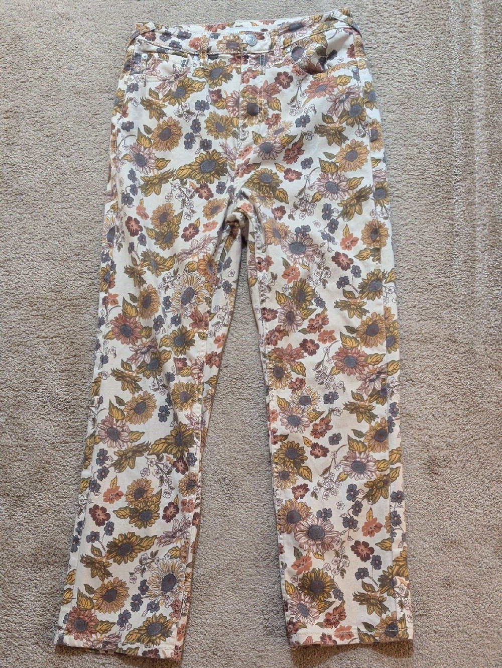 Cleo + Wolf Country Garden Floral Print Ultra High Rise Ankle Size 28